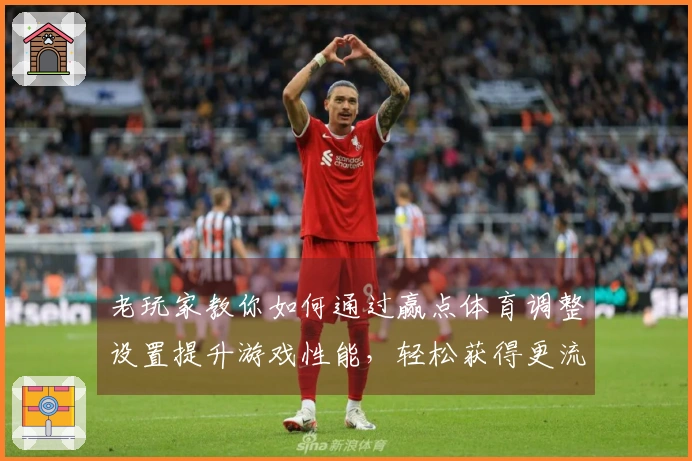 老玩家教你如何通过赢点体育调整设置提升游戏性能，轻松获得更流畅体验
