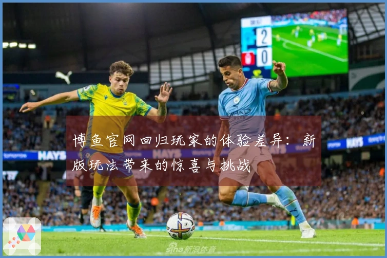 博鱼官网回归玩家的体验差异：新版玩法带来的惊喜与挑战